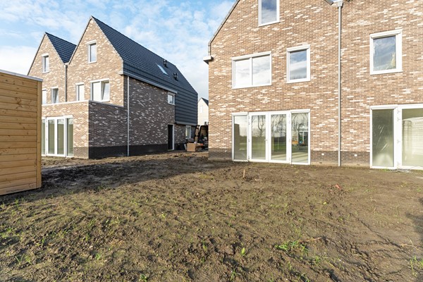 43-Moerasorchidee 29 - Lelystad.JPG